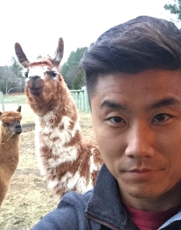 Brian Conyer MBA 17 with alpacas