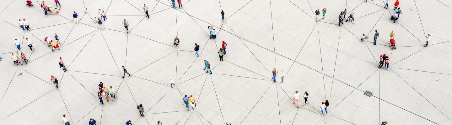 The Virtual Business Professional Project