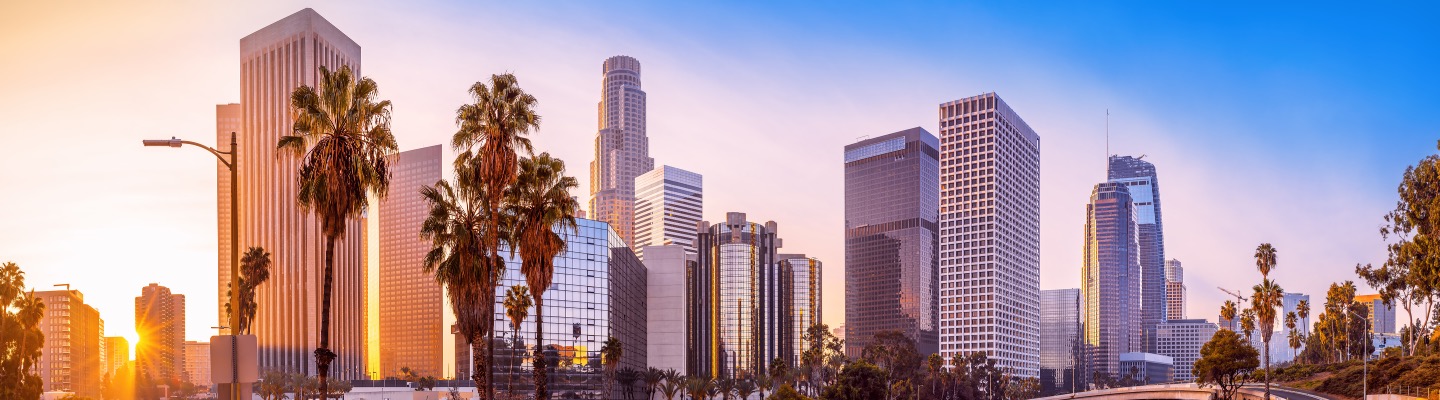 Los Angeles Skyline