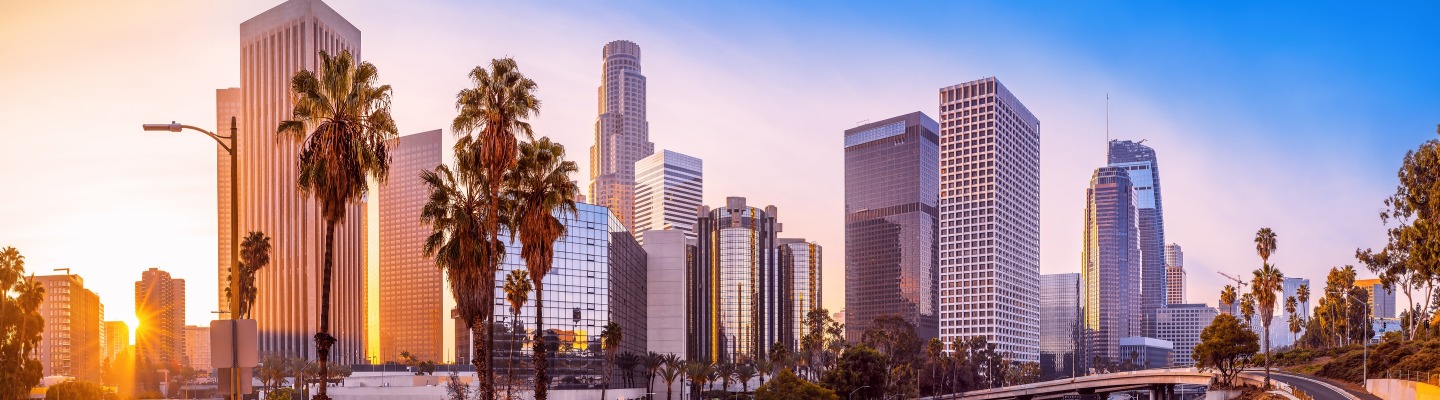 LA skyline