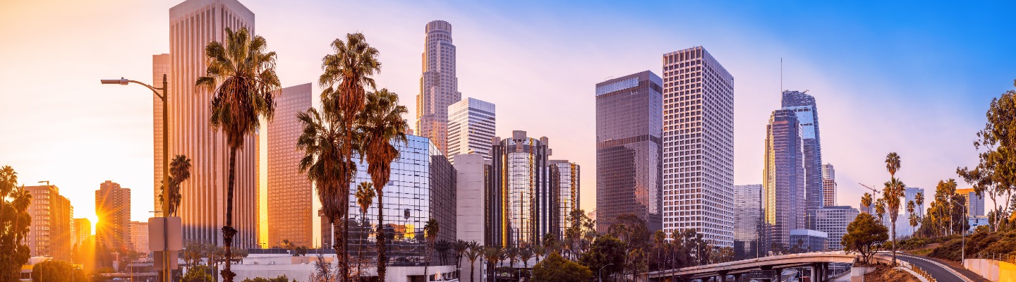 eternal shot of Downtown Los Angeles and Palm Trees