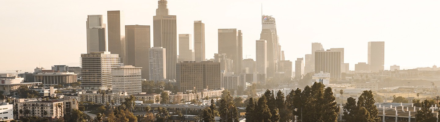 Los Angeles Skyline