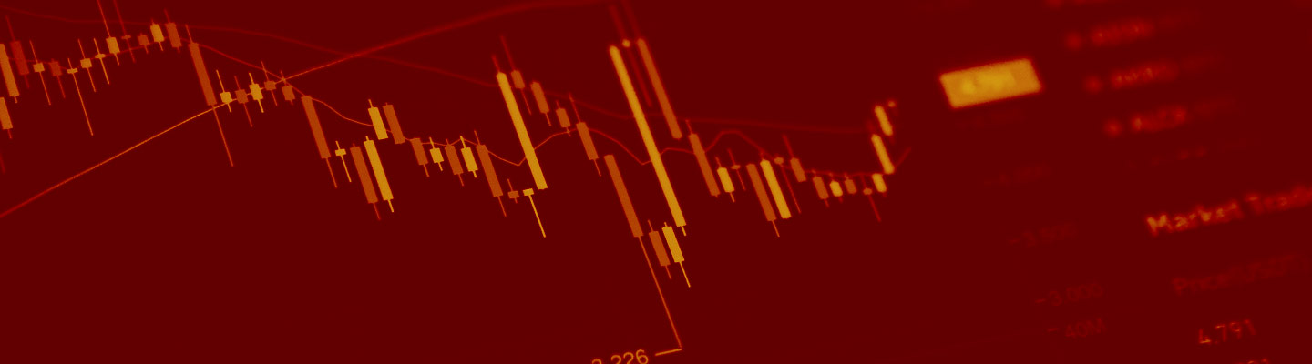 Center for Investment Studies