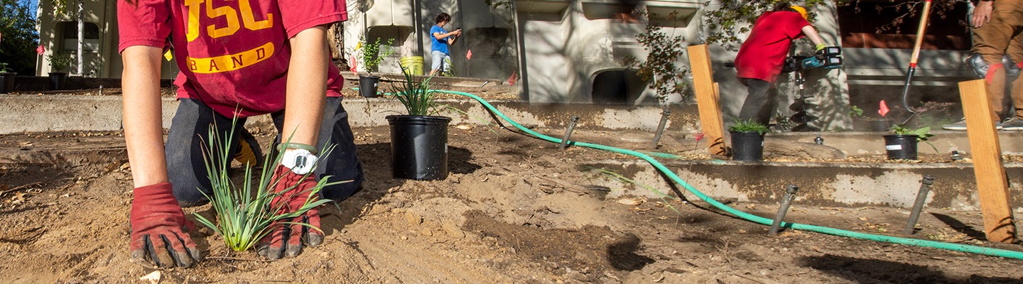 USC Sustainability Course Finder