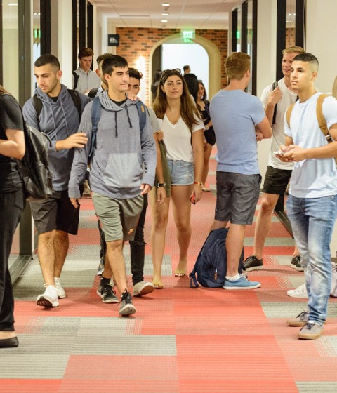 Business Economics Minor