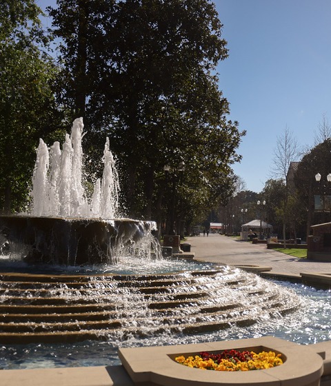 HIRING INTERNATIONAL STUDENTS / STEM