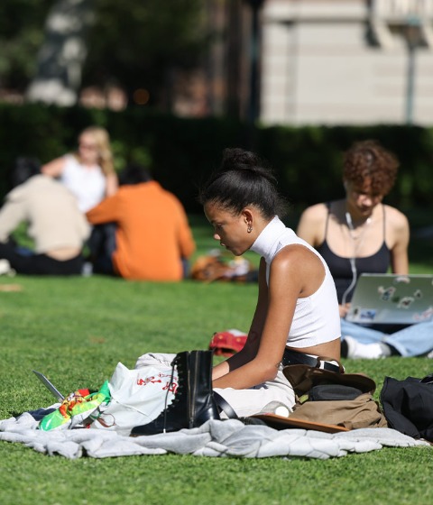 Undergraduate Minors