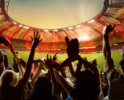 sports fans in a stadium