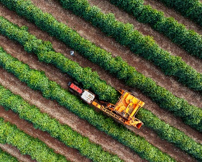 a tractor in a crop field