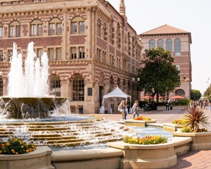 Graduate Certificate in Management Studies