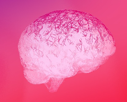 A digital rendering of the human brain.
