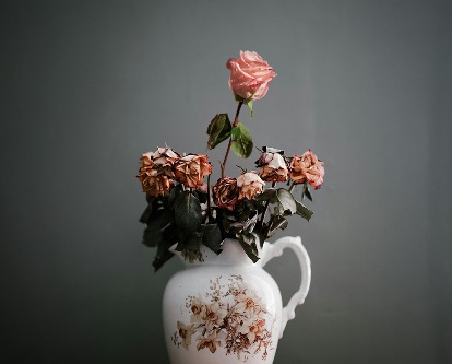 Vase holding a handful of dead roses and one vibrant pink rose.