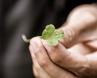 A hand holding a four leaf clover.