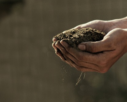 Bare hands holding dirt.