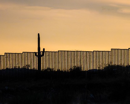 Border fence and cactus at sunset.