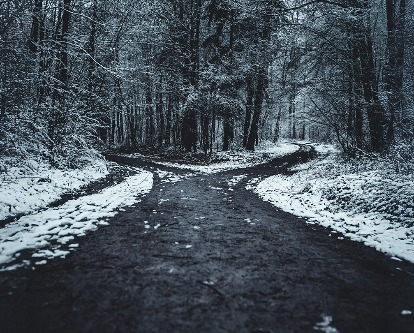 A snowy road diverging in the woods.