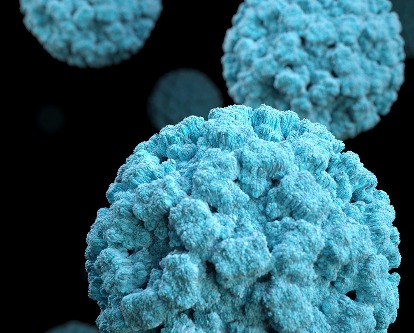 Color image of blue Covid molecules.