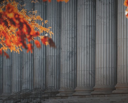 Steps of a government courthouse with fall foliage in the foreground.