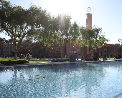 Master of Business Taxation (MBT)