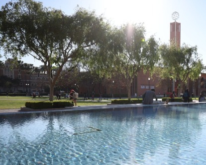 Master of Business Taxation