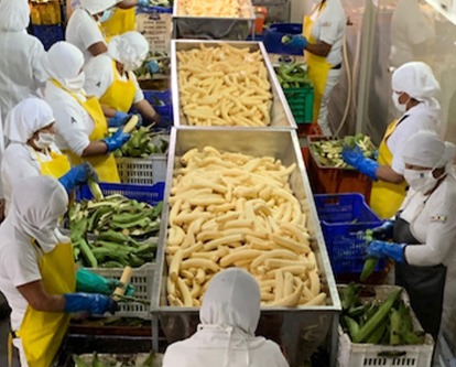 A Case for Green Entrepreneurship